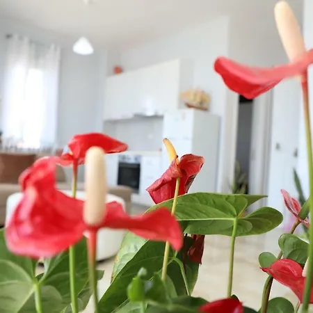 Hakunna Matata Rezidence&apartments Appartamento