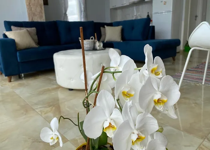 Apartament Hakunna Matata & Wlora