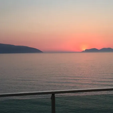 Hakunna Matata & Vlore