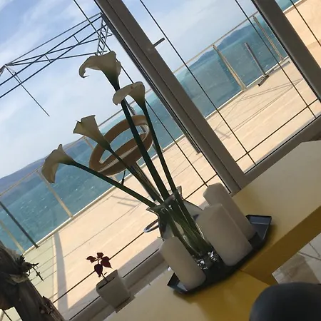 Hakunna Matata & * Vlore