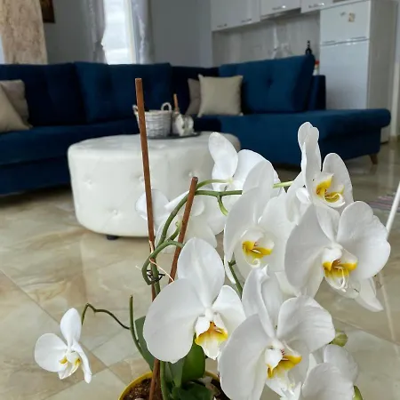 Lägenhet Hakunna Matata Residence&apartments Vlorë